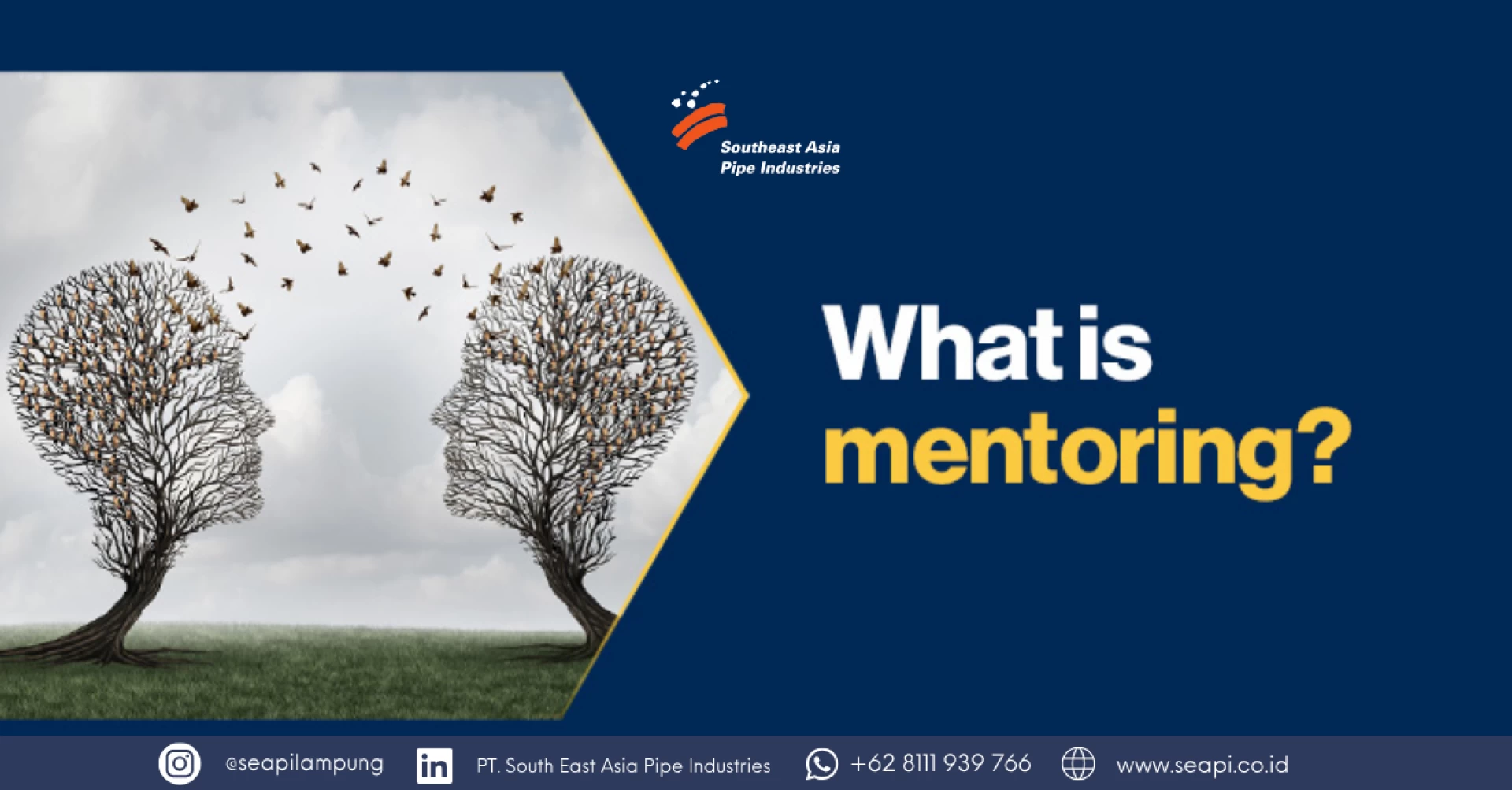The Importance of Having a Mentor in Your Career Journey